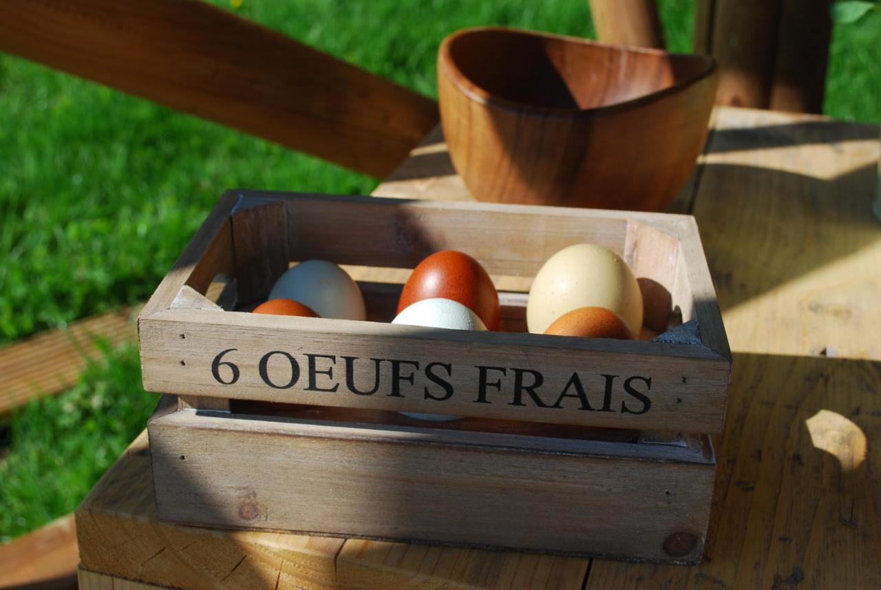 Swallows Oast Glamping Sedlescombe Exteriér fotografie