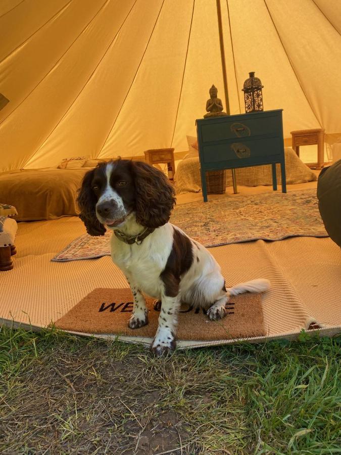 Swallows Oast Glamping Sedlescombe Exteriér fotografie